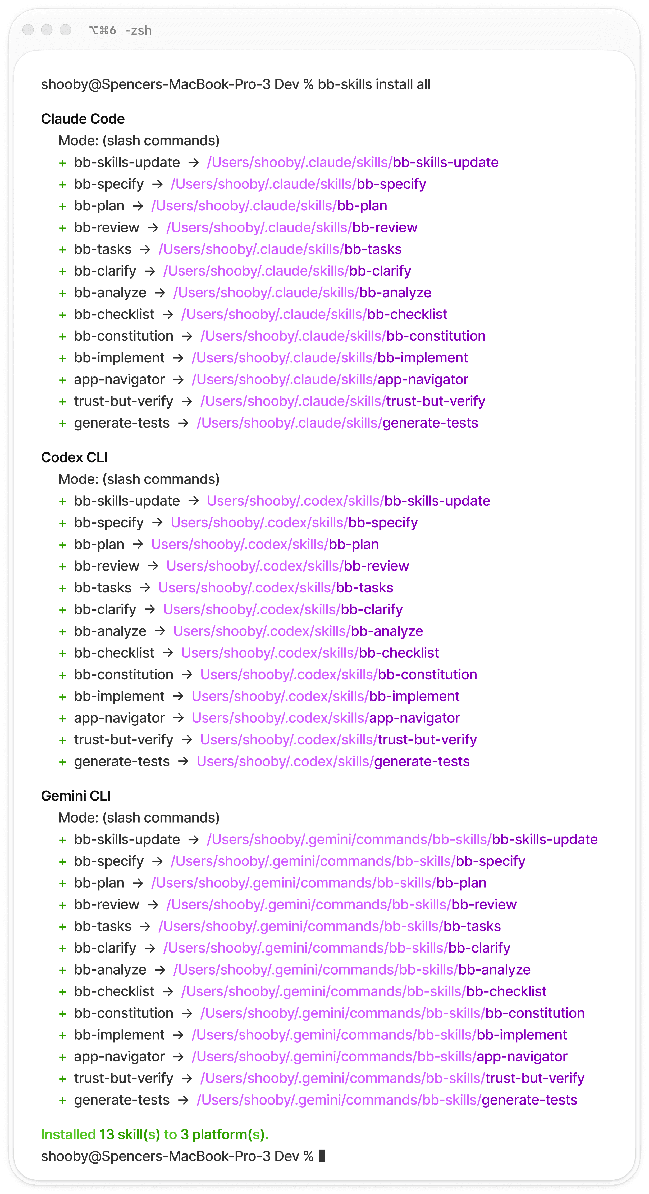 BB-Skills install output in terminal
